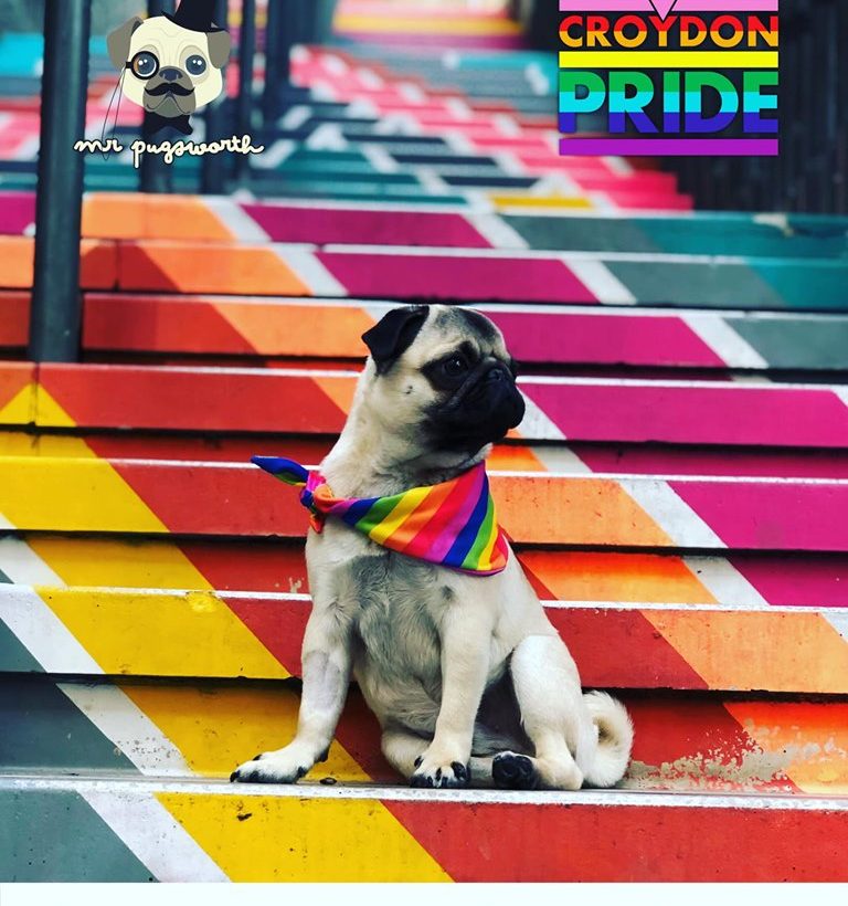 CRoydon Pride - pug on Surrey Street steps